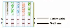 UScreen Drug Test Kit | BlueGrass Drug Screen