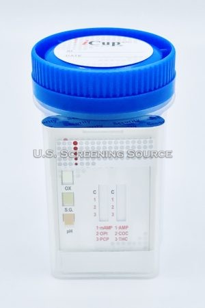 6 panel icup 1