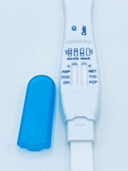 T-Swab Saliva Test 2