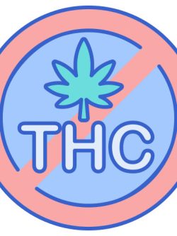 NO THC (Marijuana) Drug Tests