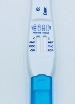 iScreen Saliva Drug Test